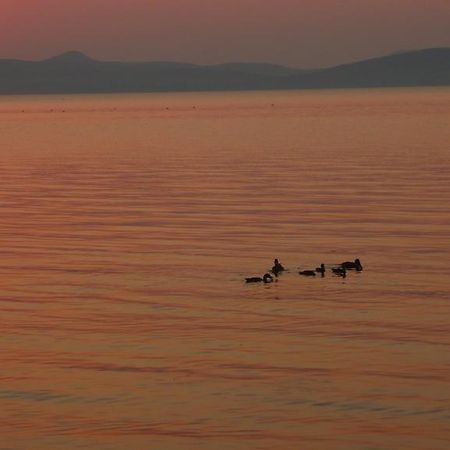 Aranyhid Hotel Balatonboglár Exteriör bild