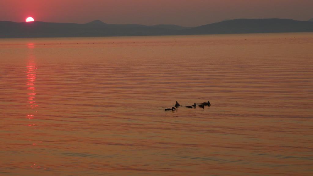 Aranyhid Hotel Balatonboglár Exteriör bild